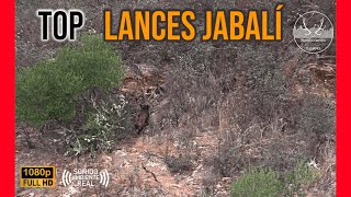 TOP LANCES DE JABALI  TEMPORADA DE MONTERÍAS 2022 2023 [upl. by Desi]