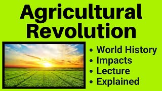 The Agricultural Revolution World History  Transforming Human Civilization [upl. by Adnat]