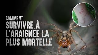 Comment survivre à laraignée la plus mortelle du monde [upl. by Aryad332]