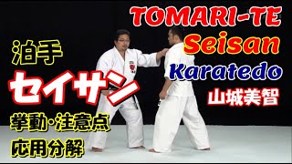 tomarite seisan okinawa karatedo yoshitomo yamashiro 泊手セイサン 沖縄拳法 山城美智 [upl. by Lionello416]