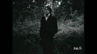 Alain bashung Limprudence Pub TV [upl. by Anayia]