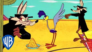 Looney Tunes  Wile Y Coyote the Failed Spy  Classic Cartoon  WB Kids [upl. by Strohl]