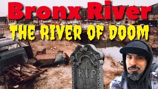 The rise and fall of the Bronx River hiddengem bronxriver Trailturd bronxriverdolphins [upl. by Nnylyrehc933]