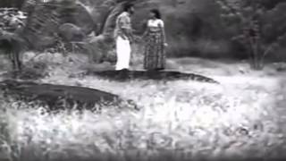 Marivillu Panthalitta  Theerthayathra1972 [upl. by Warp351]