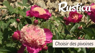 Choisir des pivoines  variétés floraison [upl. by Denae]