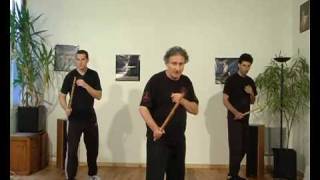 Clip  01 Cours Kali Eskrima Simple Baton [upl. by Repooc]