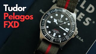 Tudor Pelagos FXD Review The best Pelagos yet [upl. by Lidaa]