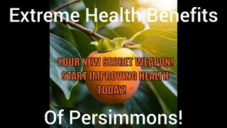 Why Persimmons are the Secret Weapon for Your Health [upl. by Arotal476]