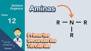 Nomenclatura y Clasificación  Ejemplos y Ejercicios [upl. by Brandt]