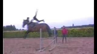 Flying off my horse [upl. by Bean]