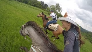 Epic horse galloping with GoPro by KristyM Ranch [upl. by Aizirtap710]