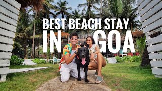 BEST BEACH COTTAGE in a BUDGET  Ashwem Beach GOA [upl. by Norrv]