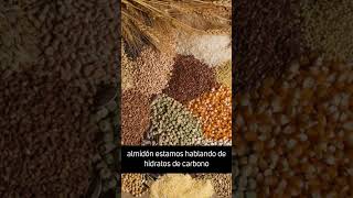 Cuáles son los alimentos considerados almidones [upl. by Falzetta]