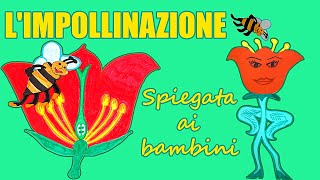 🌼🐝 LIMPOLLINAZIONE spiegata ai bambini  Limportanza delle API 🌍🌺🐝lezione di scienze [upl. by Morten494]