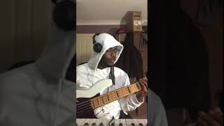 ACHE  EMAWK bass cover [upl. by Suzzy]