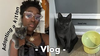 Adopting a KITTEN from START to FINISH  vlog [upl. by Aivatnahs951]