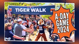 Tiger Walk Live  Auburn Football 2024 ADay Game [upl. by Tamqrah758]