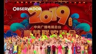 Porcos festas milhões de viagens Cinco factos sobre o Ano Novo chinês [upl. by Guthrey]