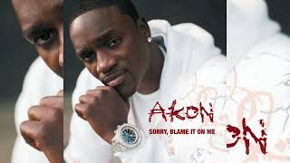 Akon  Sorry Blame It On Me Instrumental [upl. by Festatus643]