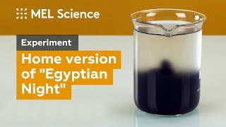 How to do the quotEgyptian Nightquot experiment at home with starch and iodine [upl. by Eiffub]