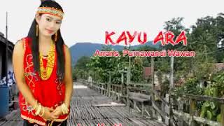 Lagu dayak kanayant KAYU ARA lagudayak kayuara lagudayakhits [upl. by Nitsew]