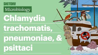 Chlamydia trachomatis pneumoniae amp psittaci  USMLE Step 1  Sketchy Medical [upl. by Sira613]