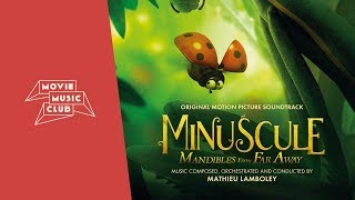 Mathieu Lamboley  Plage interdite  From the movie quotMinuscule Mandibles From Far Awayquot [upl. by Lainey]