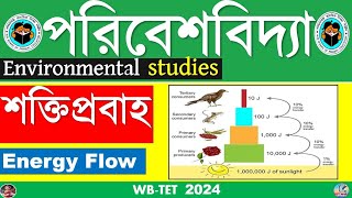 Energy FlowEnvironmental studiesWBTet 2024 [upl. by Lishe983]