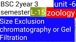 BSC 2nd year 3 semester zoology topic Size Exclusion chromatography o Gel filtration [upl. by Rogerson]