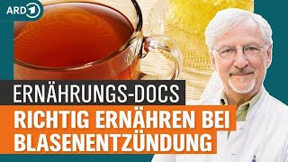 Blasenentzündung mit Gemüse und Gewürzen behandeln  Die ErnährungsDocs  NDR [upl. by Greenwood208]