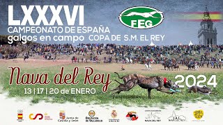 Gala LXXXVI Campeonato de España de Galgos en Campo Copa de SM El Rey [upl. by Maitland]