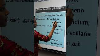 TNPSC Group 4 Questions tnpsc tnpscgroup2 tnpscgroup4 [upl. by Mundy]