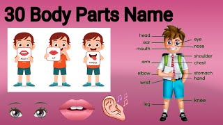 Learn 30 Body Parts Names and Function From Head to Toe  Parts of body for kids  Body Parts Quize [upl. by Amzu]