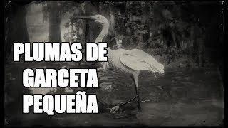 Red Dead Redemption 2 – ¿Cómo conseguir plumas de Garceta pequeña Little Egret [upl. by Ephrem507]