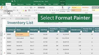 Copy cell formatting in Microsoft Excel [upl. by Brink]