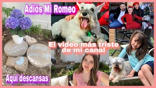 Adiós Mi Romeo😭 El video más triste de mi canal mi perrito se murió [upl. by Nehttam]