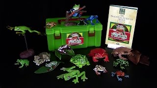 Colorata ® Tropical Rain Forest ® Frogs  Tropische Frösche  Teil 5 Unboxing  ReUpload [upl. by Arrakat]