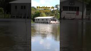 Ribeirinhos da Amazônia no paraná do Mirini comunidade de Novo Canaã Tefé Amazonas [upl. by Norrehc]