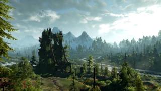 The Witcher 3 Wild Hunt  The Fields of Ard Skellig 1 Hour Version [upl. by Aniz]