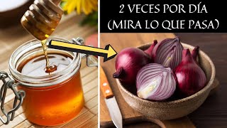 ✅ 7 Beneficios de la CEBOLLA MORADA con MIEL  ¿Para qué SIRVE y cómo PREPARAR [upl. by Piggy992]