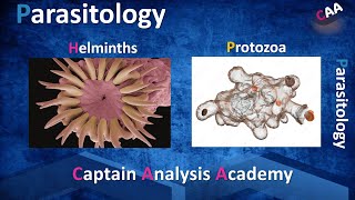 Parasitology علم الطفيليات فى 6 دقايق حلقة من نار [upl. by Alasdair]