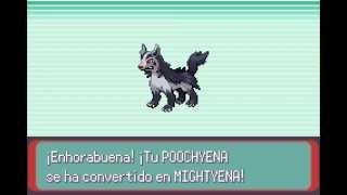 Pokémon Esmeralda  Poochyena evoluciona a Mightyena [upl. by Skilken]