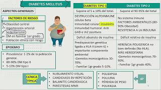 Endocrinología  Diabetes Mellitus [upl. by Darton]