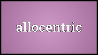 Allocentric Meaning [upl. by Draner]