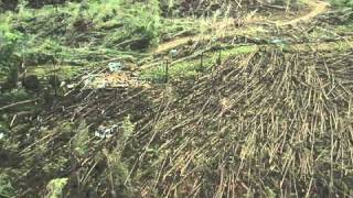 Tuscaloosa Tornado Damage Aerials Part 2 [upl. by Yevol144]