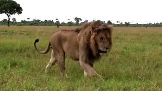 Rekero Camp  Maasai Mara National Reserve Kenya [upl. by Whitehouse]