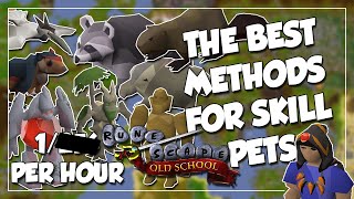 Best Methods for Skilling Pets in OSRS  Easiest Pets To Get AFK  Active [upl. by Yatnahs]