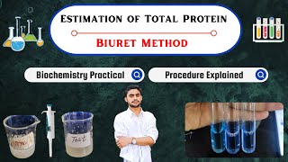 Estimation of Total Protein by Biuret Method  Biochemistry Practical live Demo [upl. by Oicnecserc533]