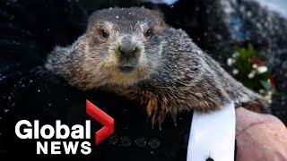 Groundhog Day 2022 Punxsutawney Phil predicts 6 more weeks of winter [upl. by Adanar744]