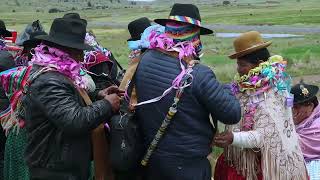 Así se celebran los carnavales en la Comunidad de Coromata Media  Carnavales 2024BOLIVIA [upl. by Ayrad]